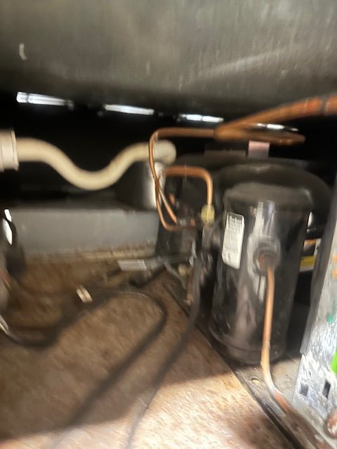 Structural Concepts MP48R Lighted Curved Glass Refrigerated Bakery Display Case