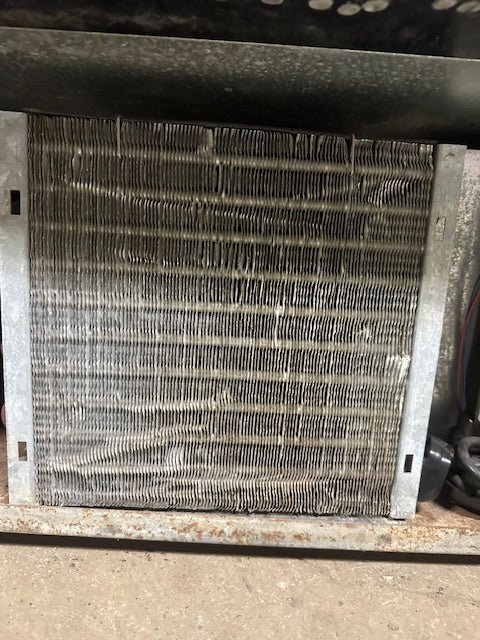 Structural Concepts MP48R Lighted Curved Glass Refrigerated Bakery Display Case