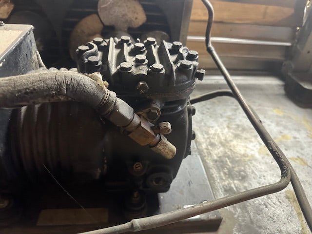 Traulsen G31011 Three Door Commercial Reach-In Refrigerator Cooler Special